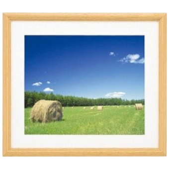 FUJICOLOR アルミ額縁 スクエアーマットフレーム HQA201 シルバー A3ノビ