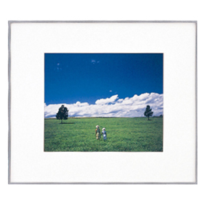 FUJICOLOR アルミ額縁 ワイドマットフレーム A5010 半切ノートリ(135)