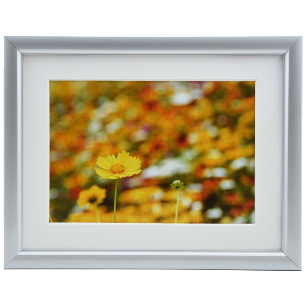 FUJICOLOR アルミ額縁 A32 キャビネ 2L シルバー