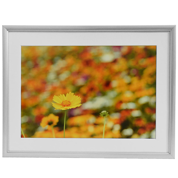 FUJICOLOR アルミ額縁 A32 ワイド6切 シルバー