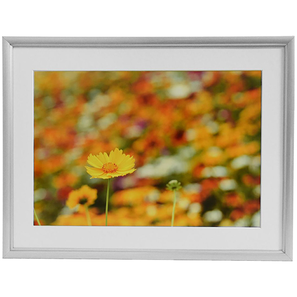 FUJICOLOR アルミ額縁 A32 半切 シルバー