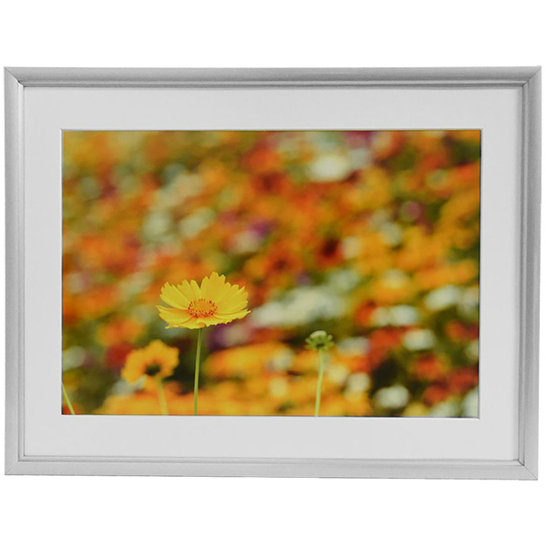 FUJICOLOR アルミ額縁 A32 A4 シルバー