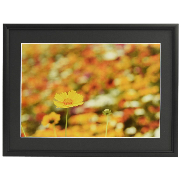 FUJICOLOR アルミ額縁 A33 ワイド6切 ブラック