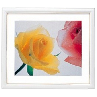 FUJICOLOR 木製額縁 アートフレームホワイト 4切