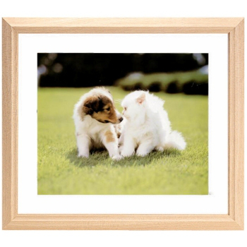 FUJICOLOR 木製額縁 M12 アクリル 4切