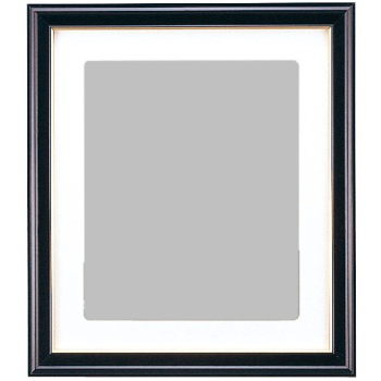 FUJICOLOR 肖像額縁 A3