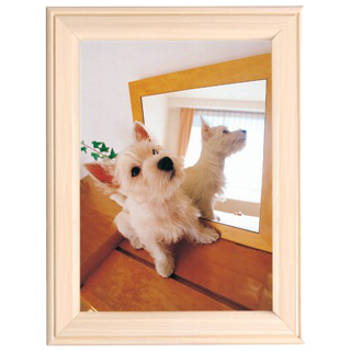 FUJICOLOR 写真立 MT-K2 ホワイト