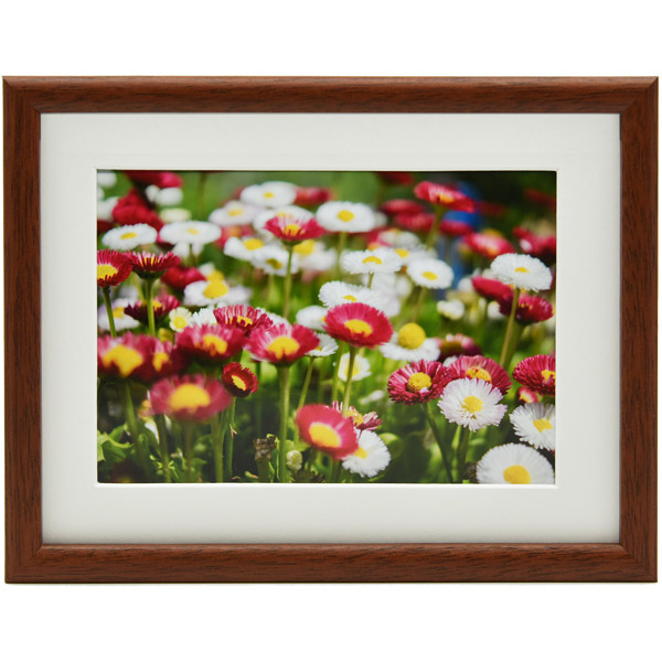 FUJICOLOR 木製額縁 M21 全紙 ブラウン