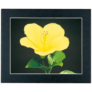 FUJICOLOR マットパネルDX ワイド4切 ブラック