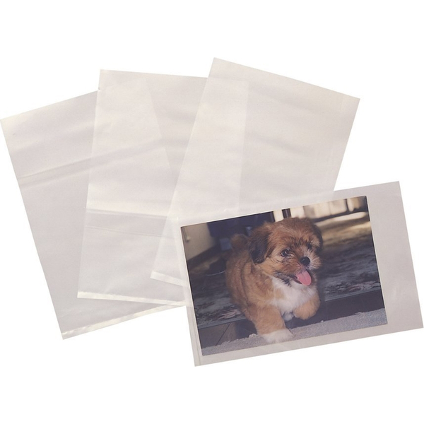 写真袋・展示ホルダー ハイゼックス袋(乳白色) 2L/GK用 100枚入