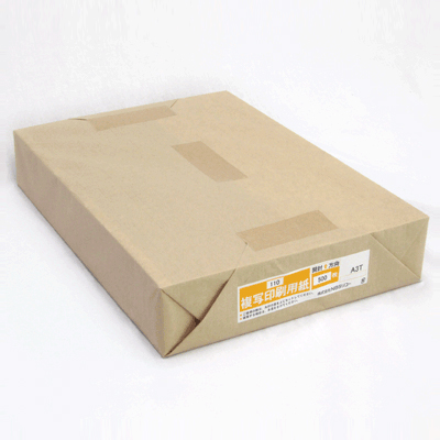 複写印刷用紙 110K A3T 500枚パック