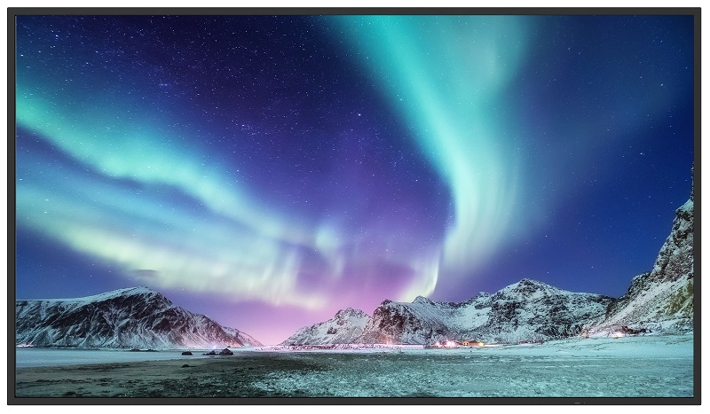 65V型インフォメーションディスプレイ/3840×2160/HDMI、USB Type-C/黒/スピーカー有/350cd/m2/16時間/メディアプレーヤー/無償オンサイト3年保証/ベーシックモデル