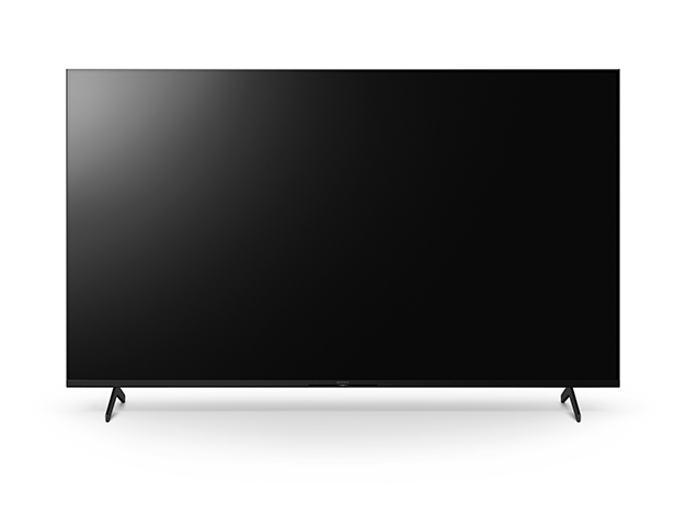 65V型 『業務用ブラビアBT30K』 4Kディスプレイ/3840×2160/HDMI/ブラック/スピーカー/4Kチューナー：あり（3年保証・オンサイト修理対応）