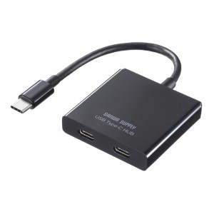 USB Type-C ハブ（C×2）