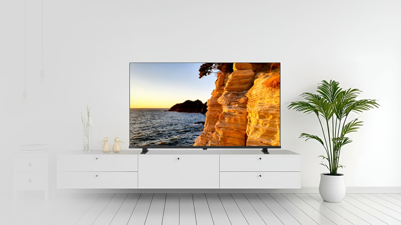 【REGZA】地上・BS・110度CSデジタルハイビジョン液晶テレビ 24V型